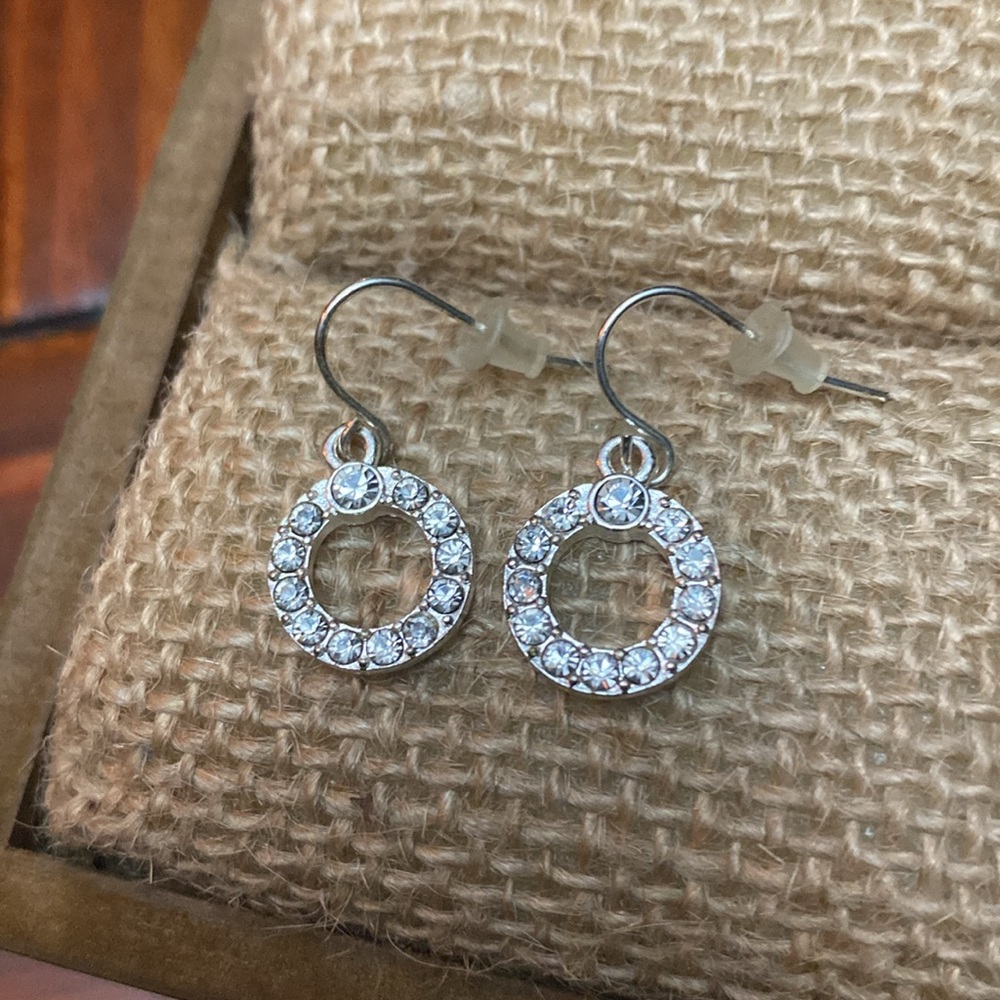 Circle Earrings , NWOT